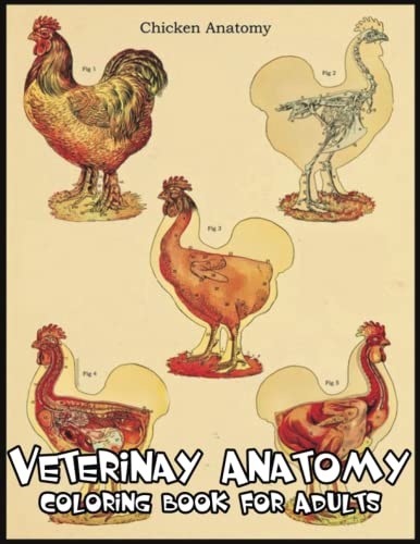 Veterinary Anatomy Coloring Book: 110 Cute and Funny Veterinary Anatomy ...