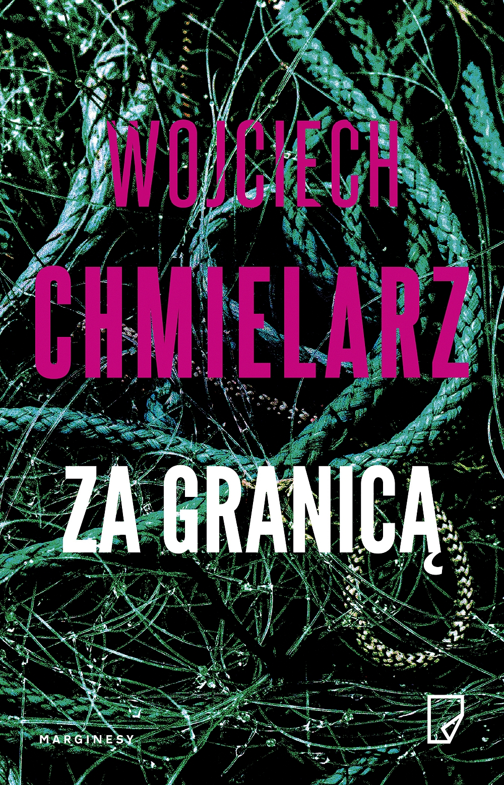 Za granicą book cover