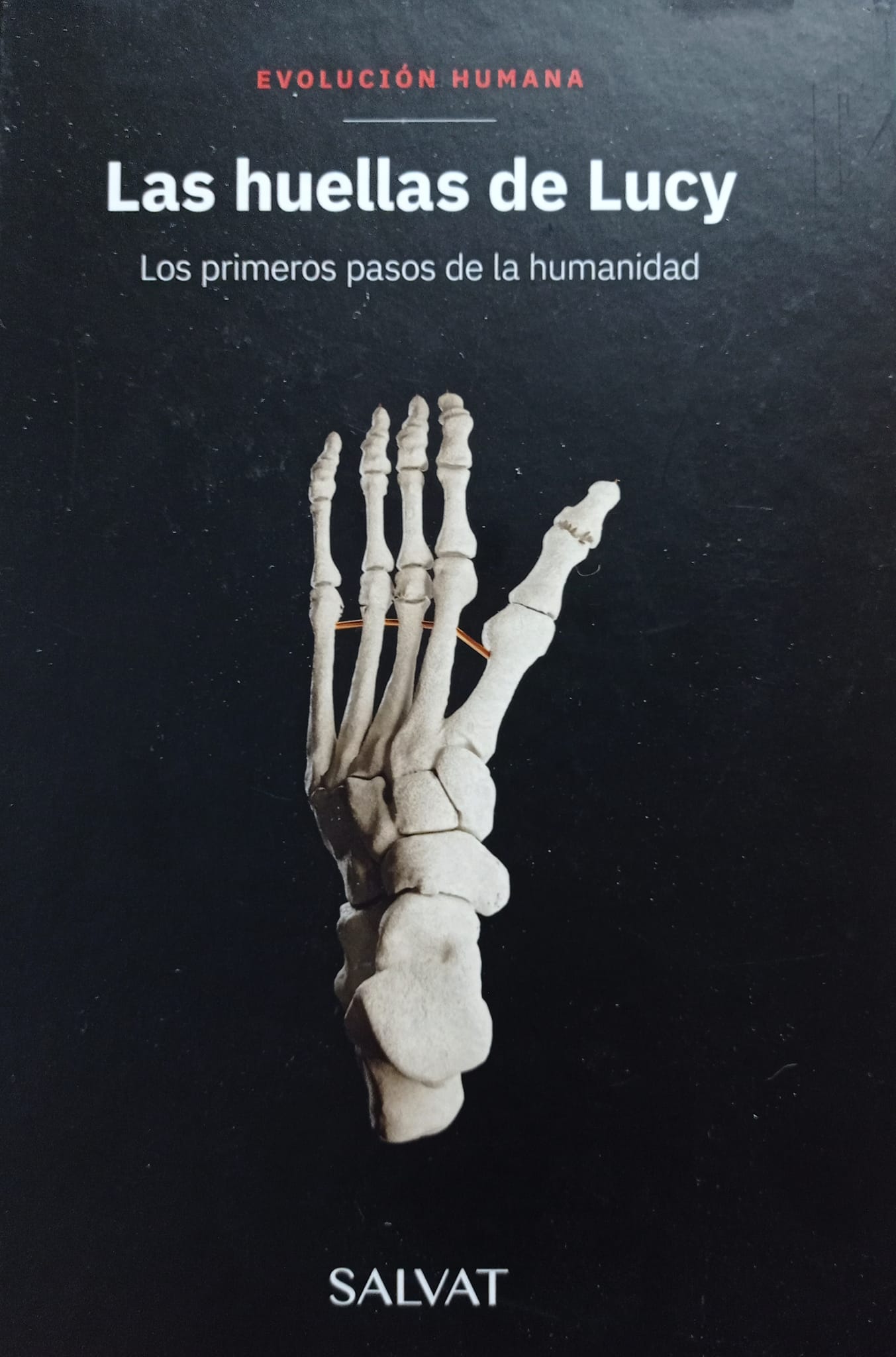 Las huellas de Lucy