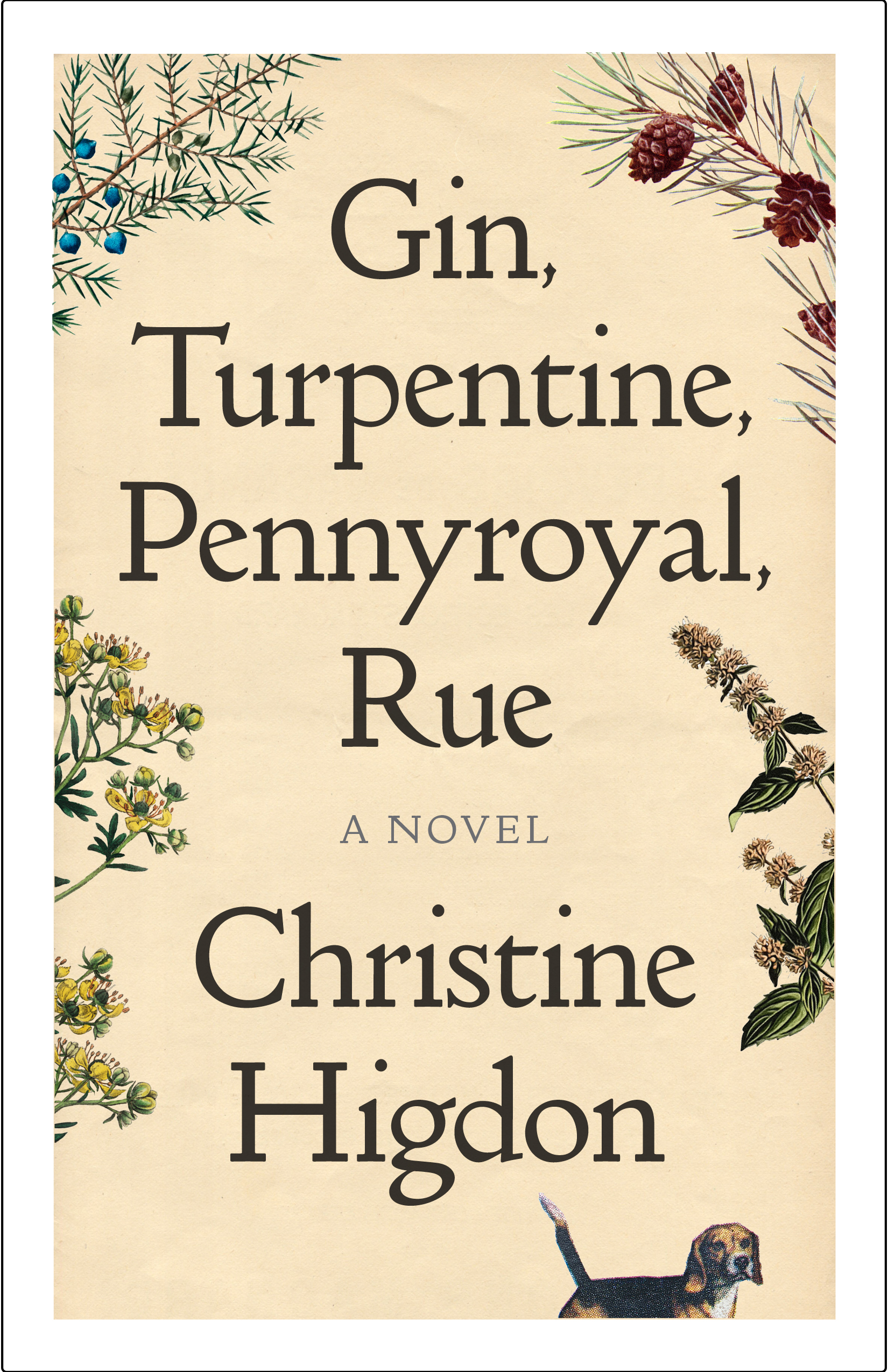 Gin, Turpentine, Pennyroyal, Rue
