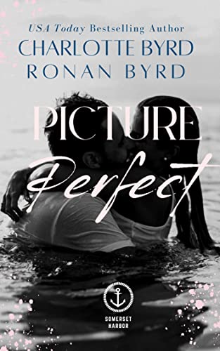 Picture Perfect book cover