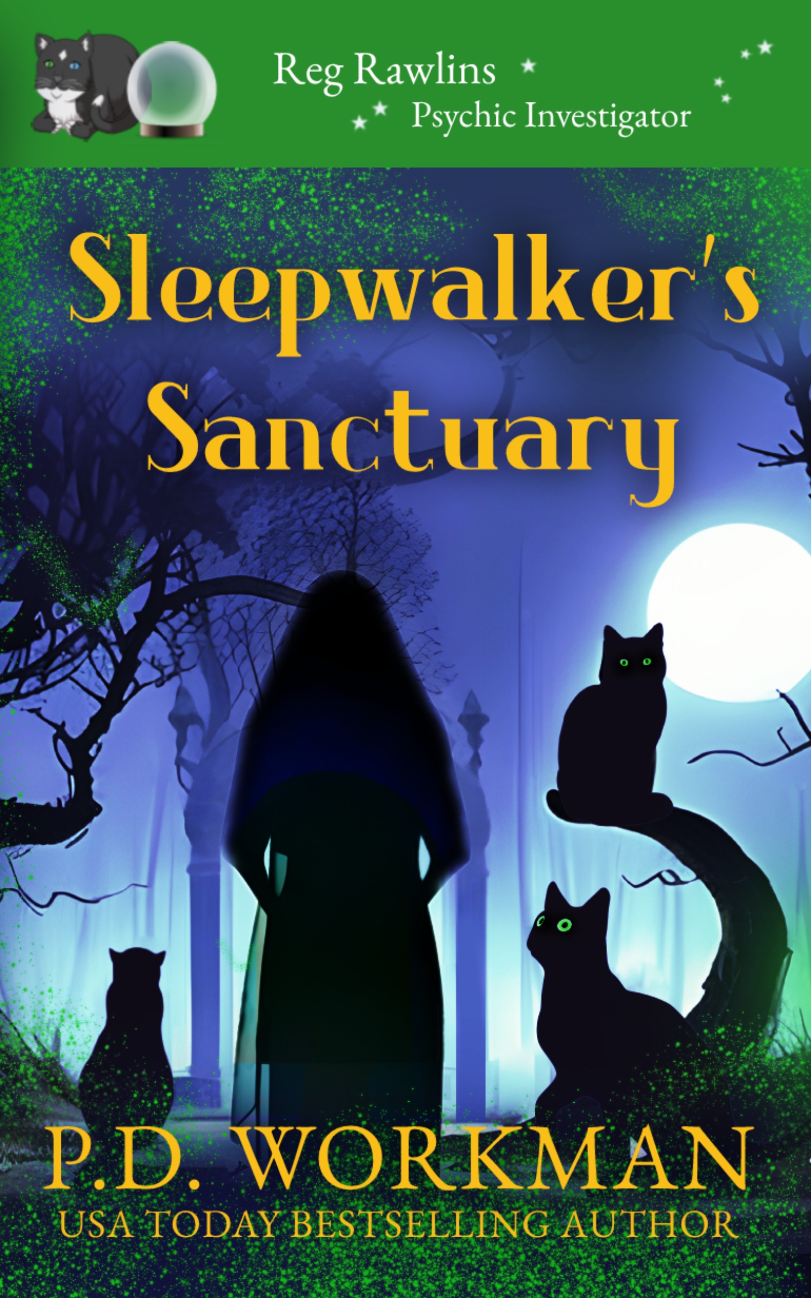 Sleepwalker's Sanctuary book cover
