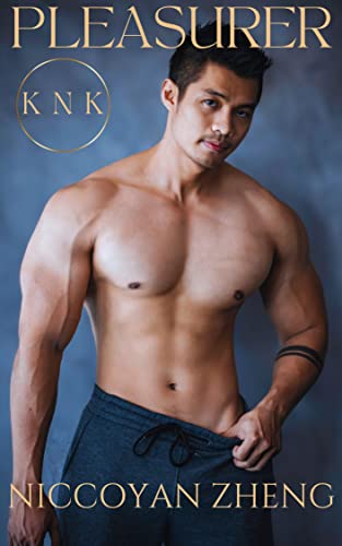 KNK Matchmaking Agency book cover 3