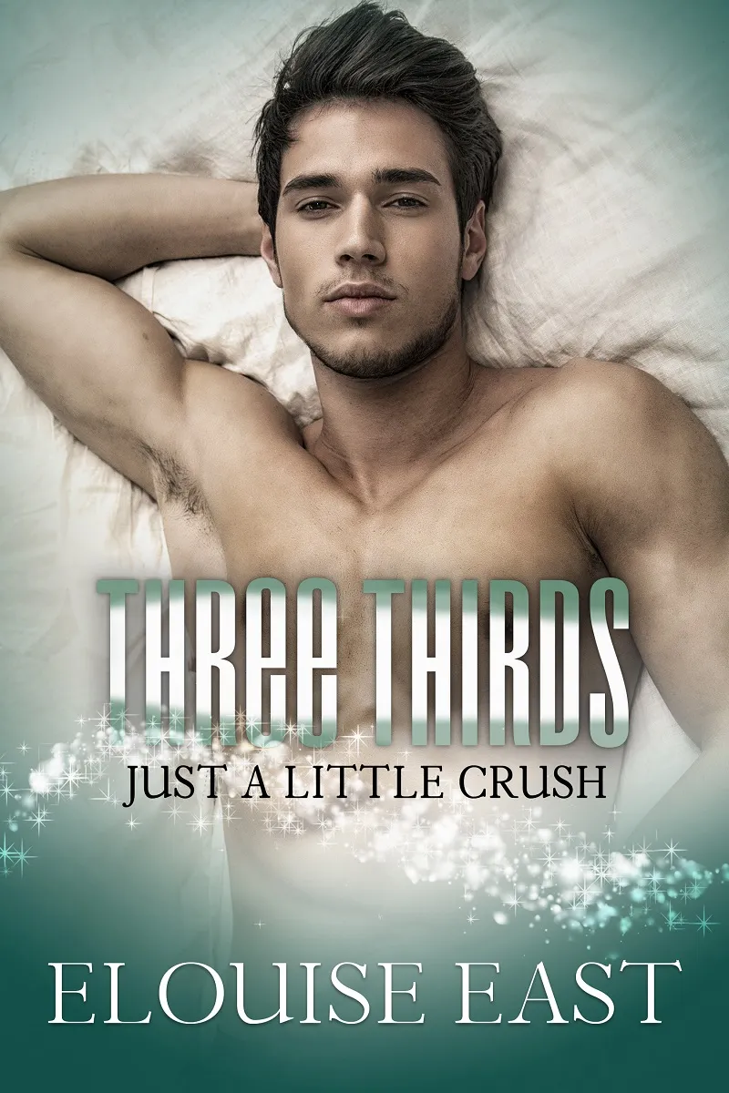 Three Thirds book cover