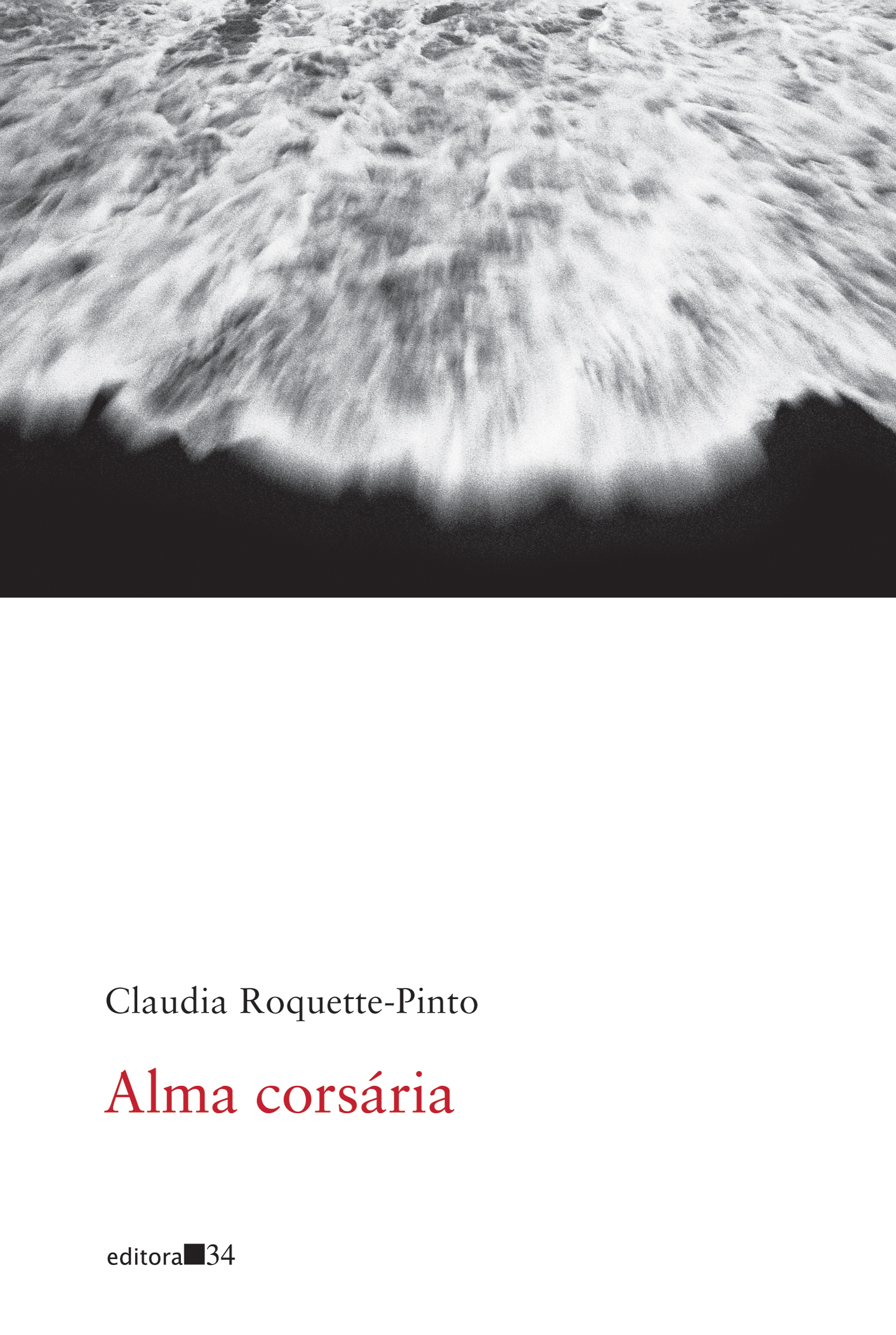 Alma corsária book cover