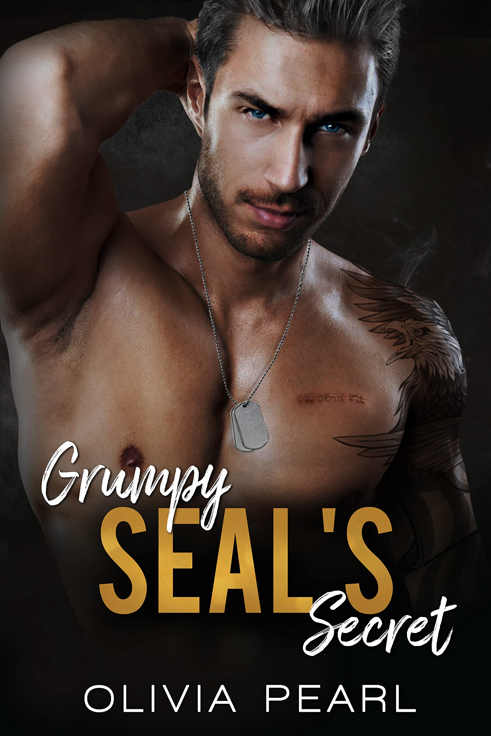 Grumpy SEAL's Secret