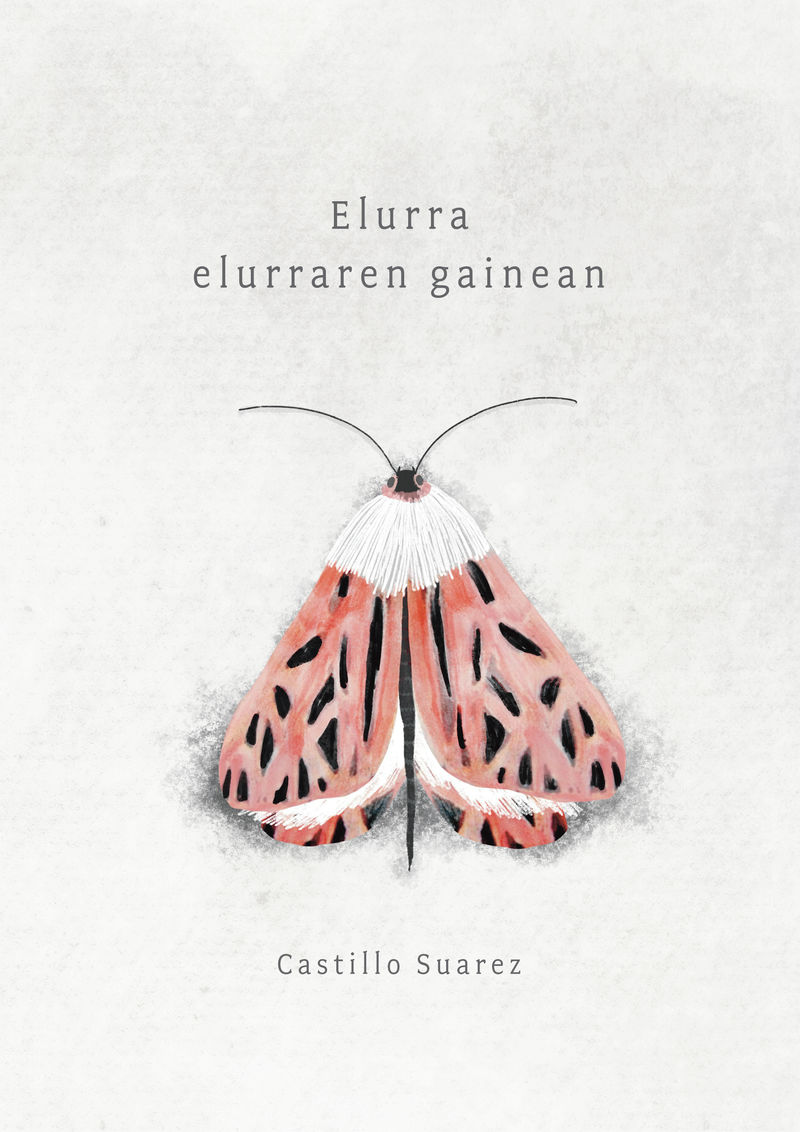 Elurra elurraren gainean