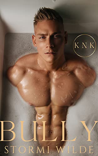 KNK Matchmaking Agency book cover 2