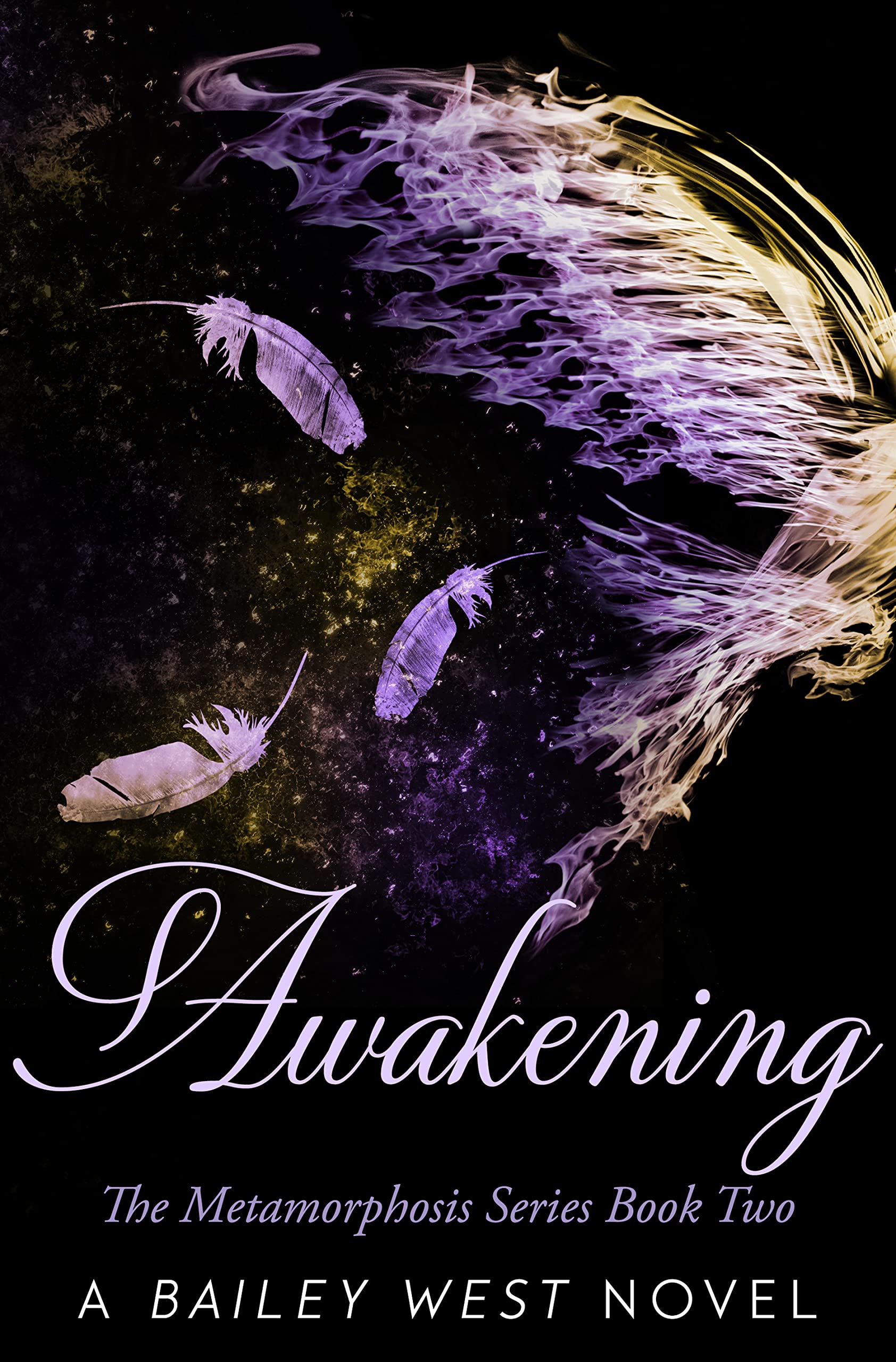 Awakening book cover