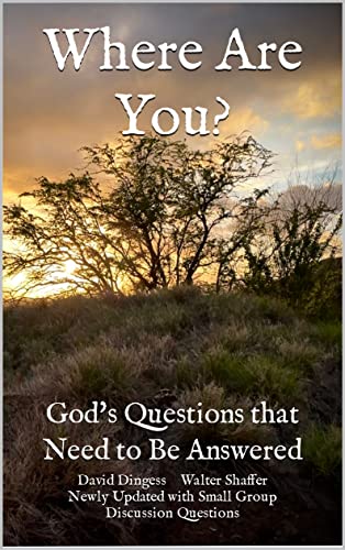 Where Are You?: God's Questions that Need to Be Answered