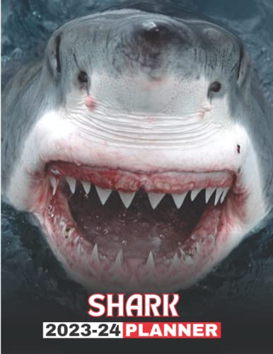 Shark 2023 2024 calendar: Shark Two Years monthly planner 2023 2024, 8.