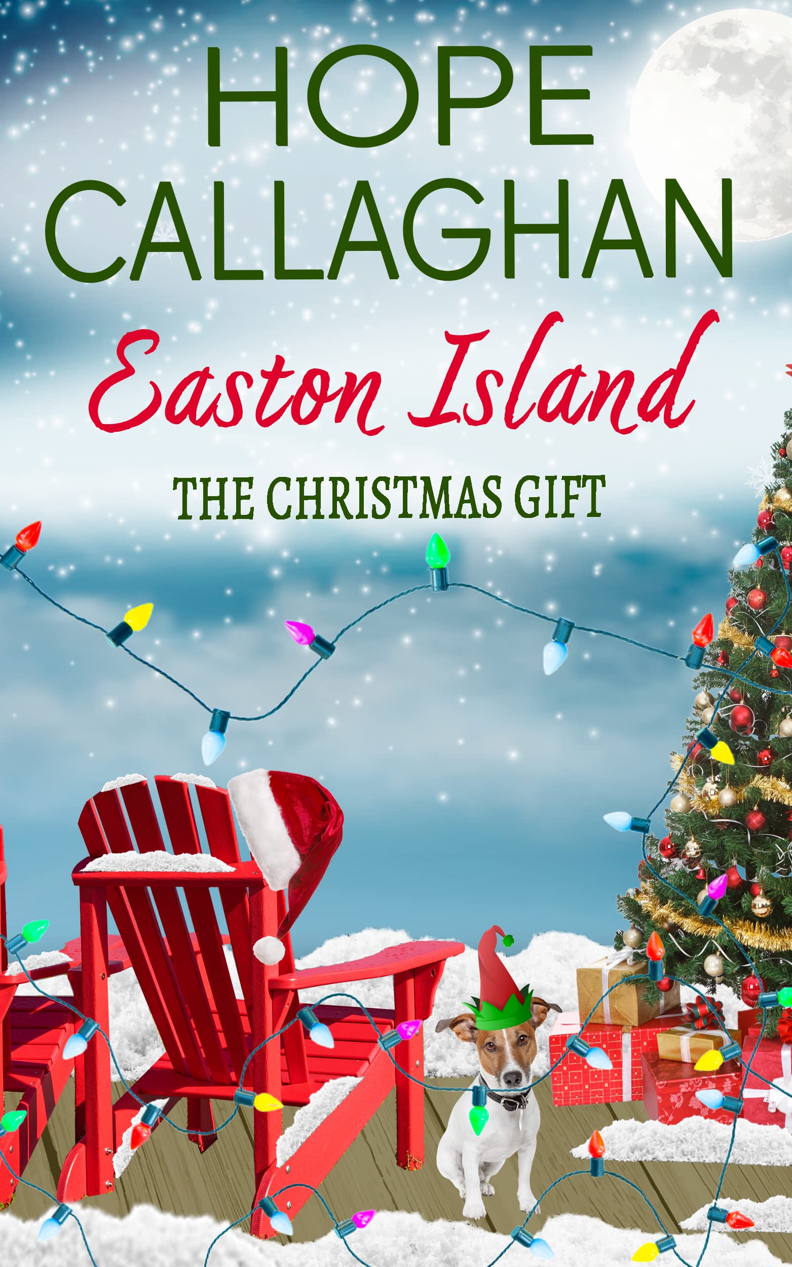 The Christmas Gift book cover