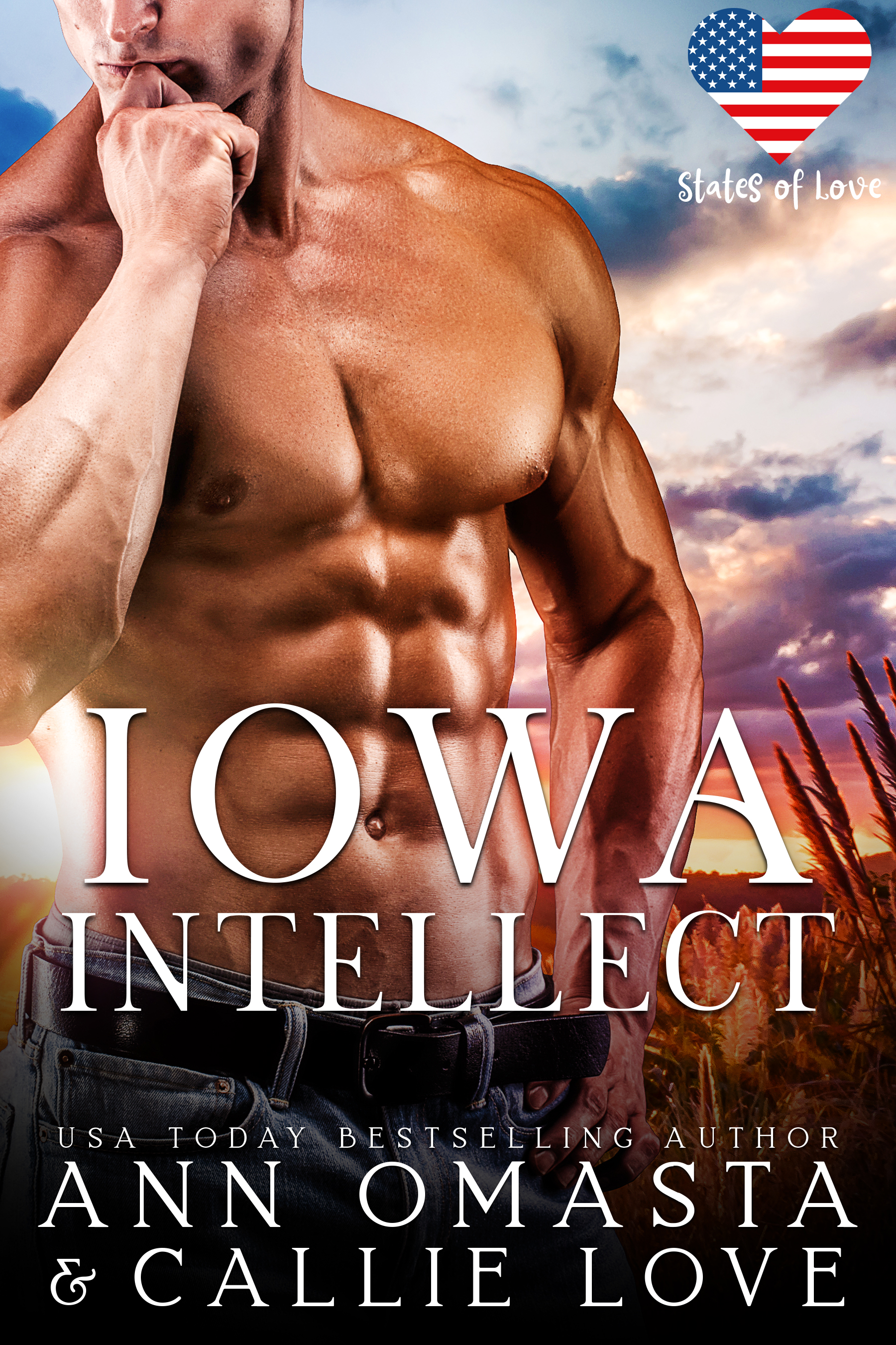 Iowa Intellect book cover