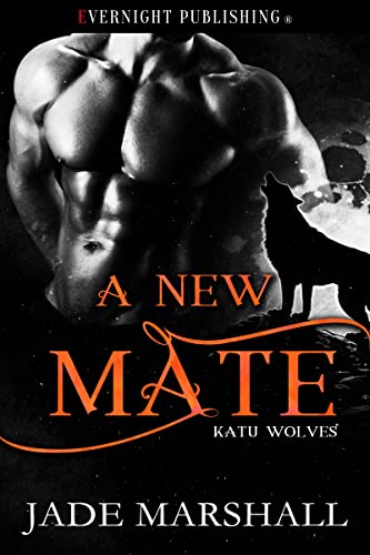 A New Mate book cover