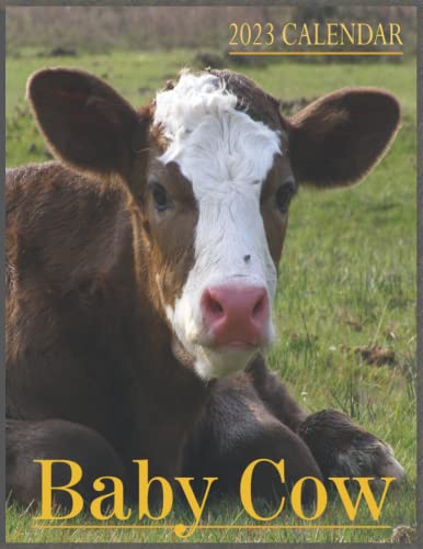 Baby Cows Calendar 2023: Calendar 2023-2024 16 month Perfect Calendar for  Organizing & Planning by Calvin Welch | Goodreads