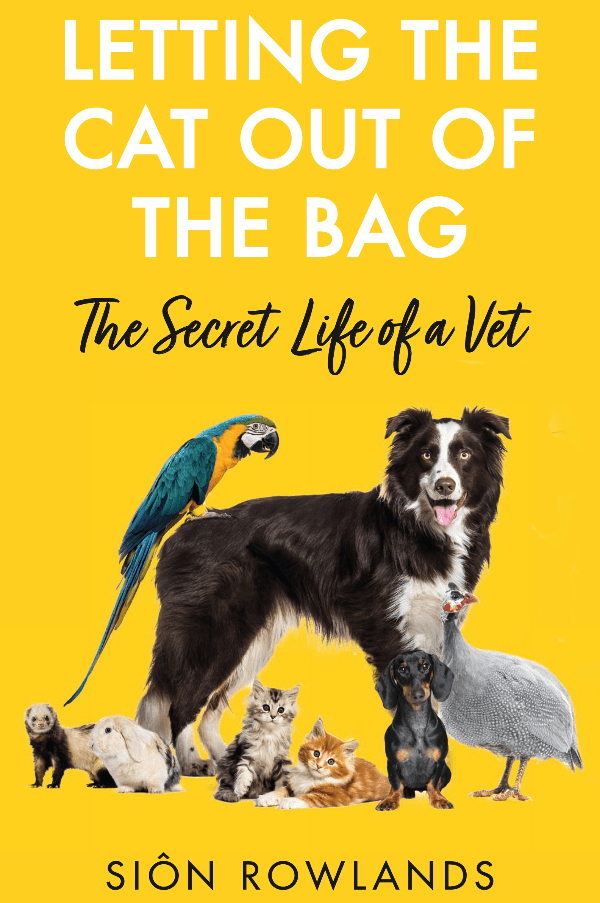 Letting the Cat Out of the Bag: The Secret Life of a Vet