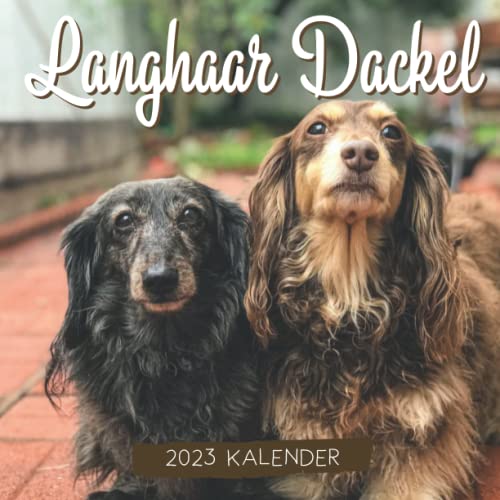 Langhaar Dackel Kalender: 18-Monats-Kalender von Juli 2022 bis Dezember