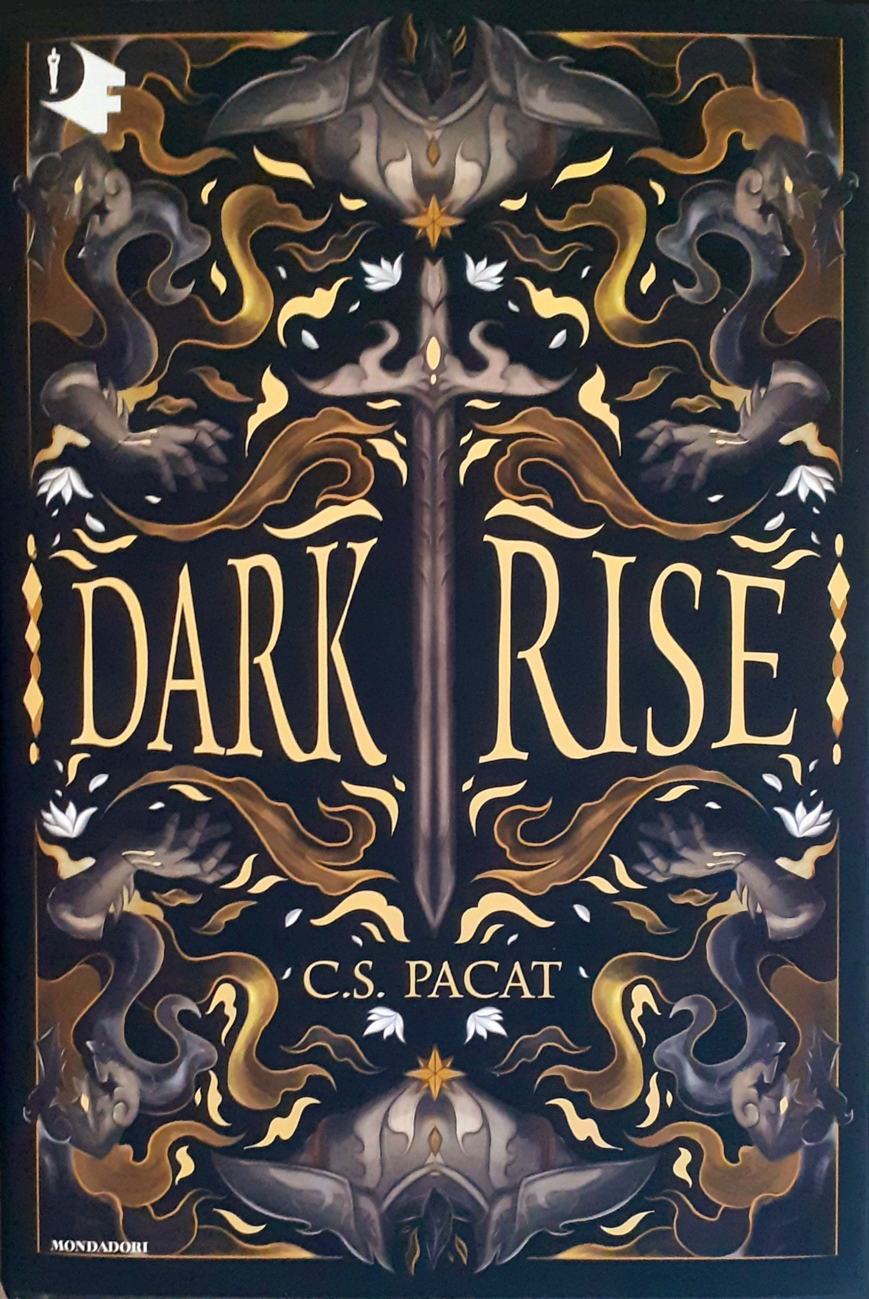 Dark rise (Dark Rise, #1)