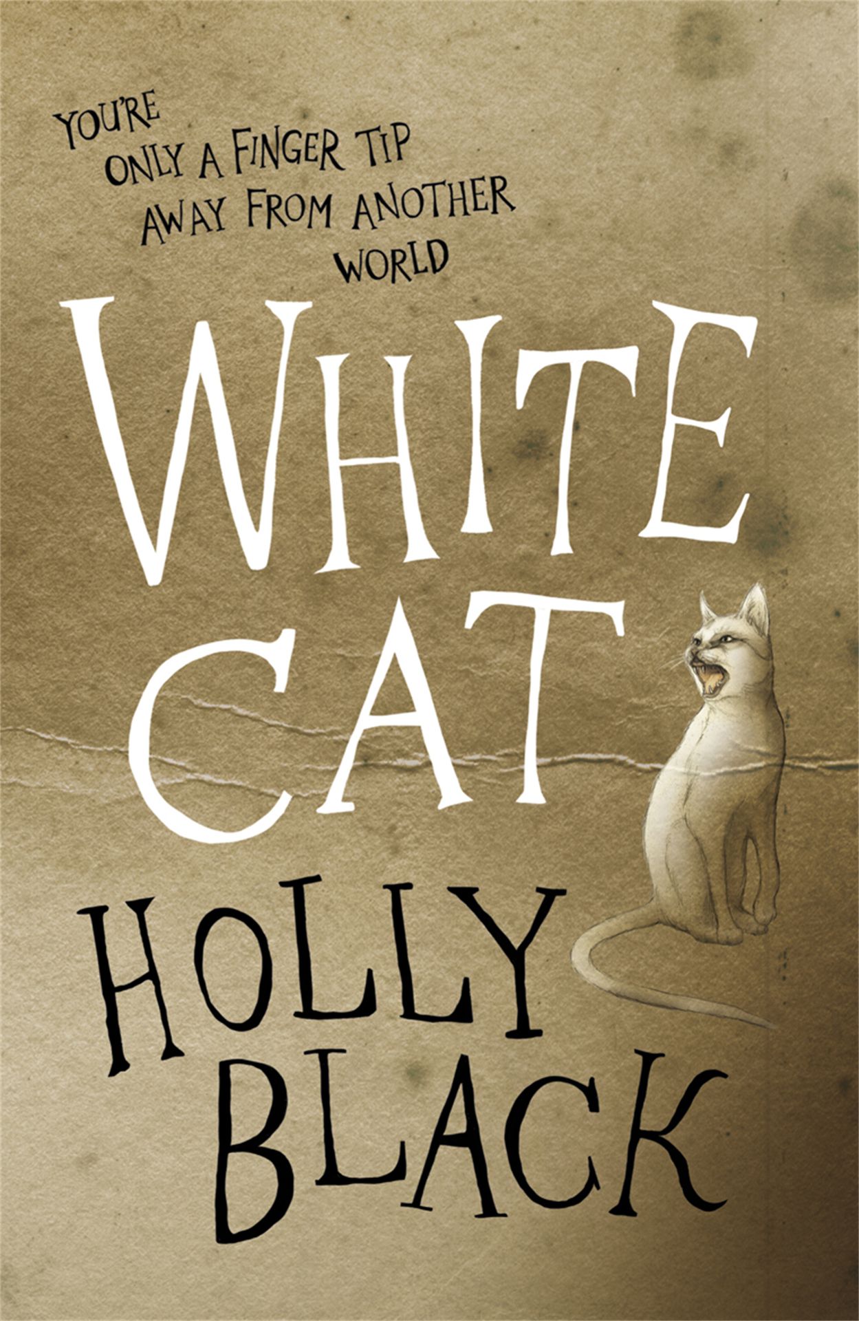 White Cat (Curse Workers, #1)