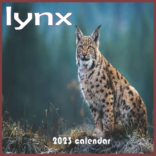 lynx-calendar-2023-calendar-2023-2024-16-month-perfect-calendar-for