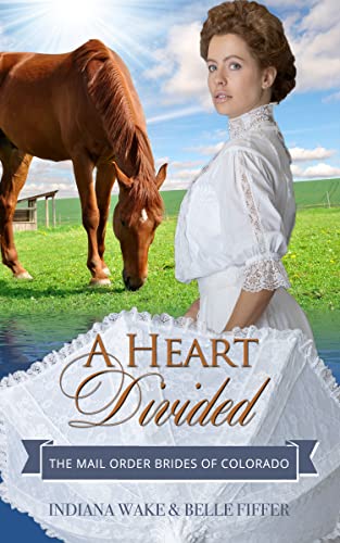 The Mail Order Brides of Colorado book cover 1