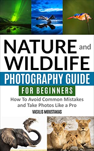 Nature and Wildlife Photography Guide for Beginners : How to Avoid ...