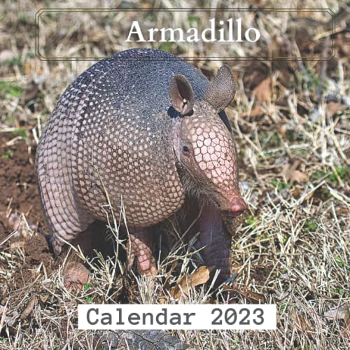 Armadillo Calendar 2023 by Layla Publishing Goodreads