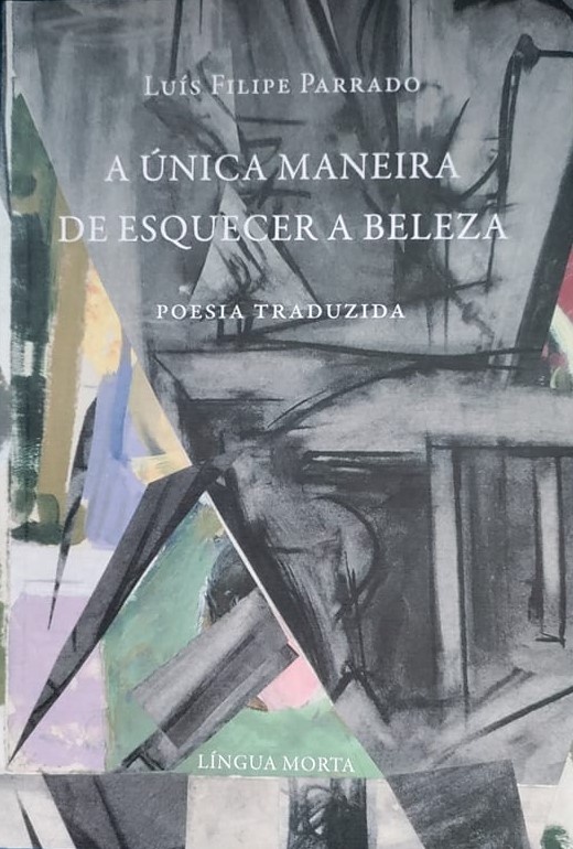 A Única Maneira de Esquecer a Beleza - Poesia Traduzida