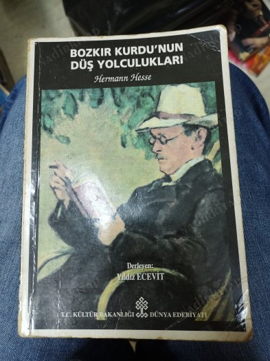 Bozkır Kurdu'nun Düş Yolculukları book cover