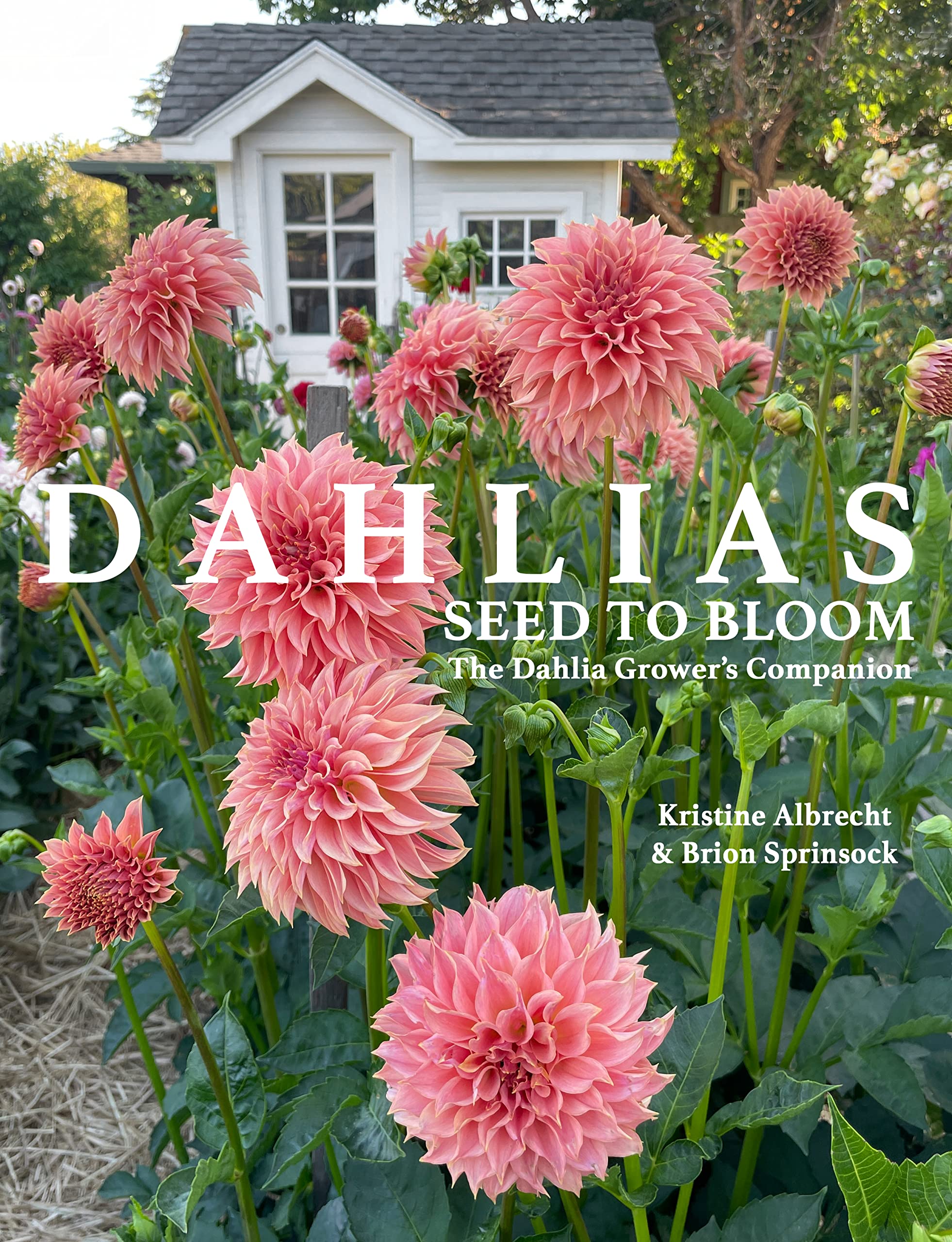 DAHLIAS: Seed to Bloom: The Dahlia Grower's Companion