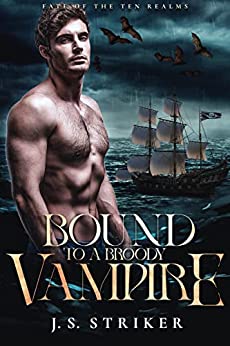 Bound to a Broody Vampire book cover