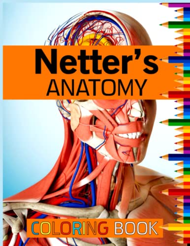 Netter's Anatomy Coloring Book: netters anatomy coloring book updated edition netter basic ...