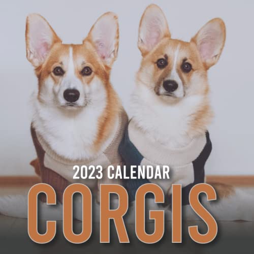 Calendar 2023 18 Month Calendar 2023 from June 2022 to December 2023 Calendar With