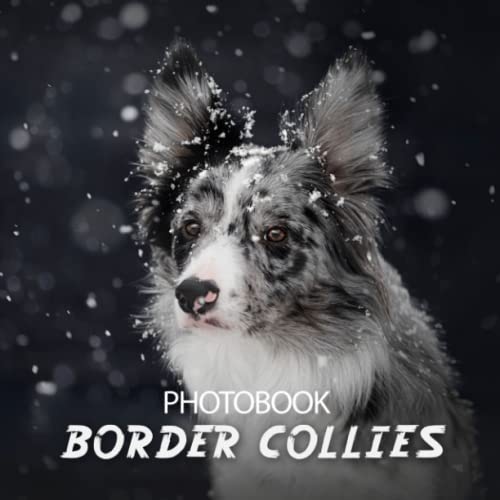 Border Collies Photobook Colorful Pictures For All Ages To Relax And