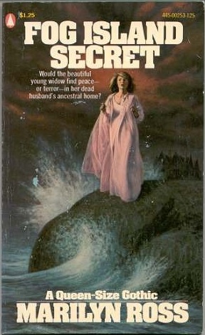 Fog Island Secret book cover
