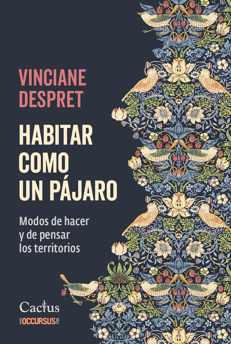 Habitar como un pájaro: modos de hacer y pensar los territorios