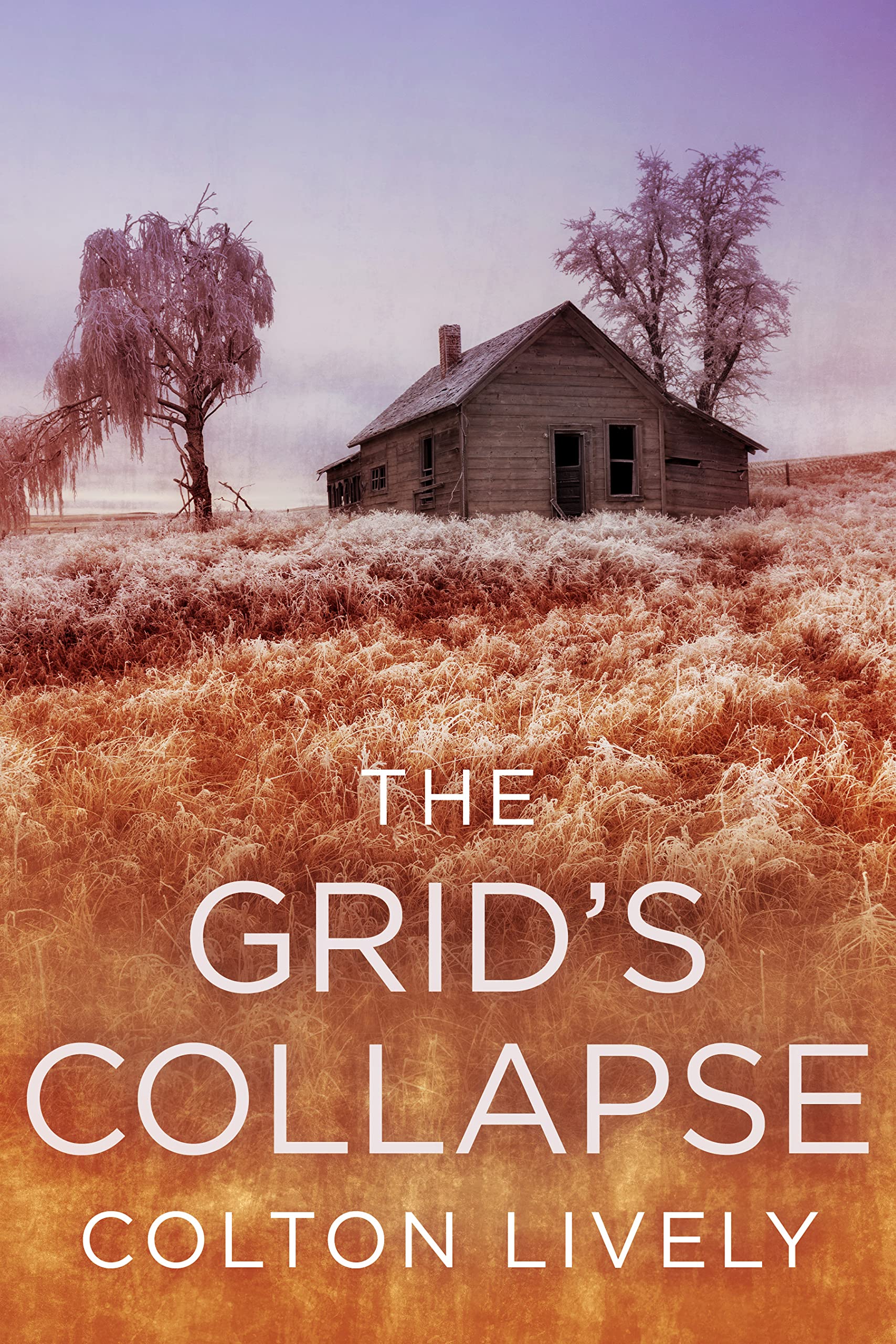 The Grid's Collapse book cover