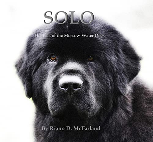SOLO: The Last of the Moscow Water Dogs