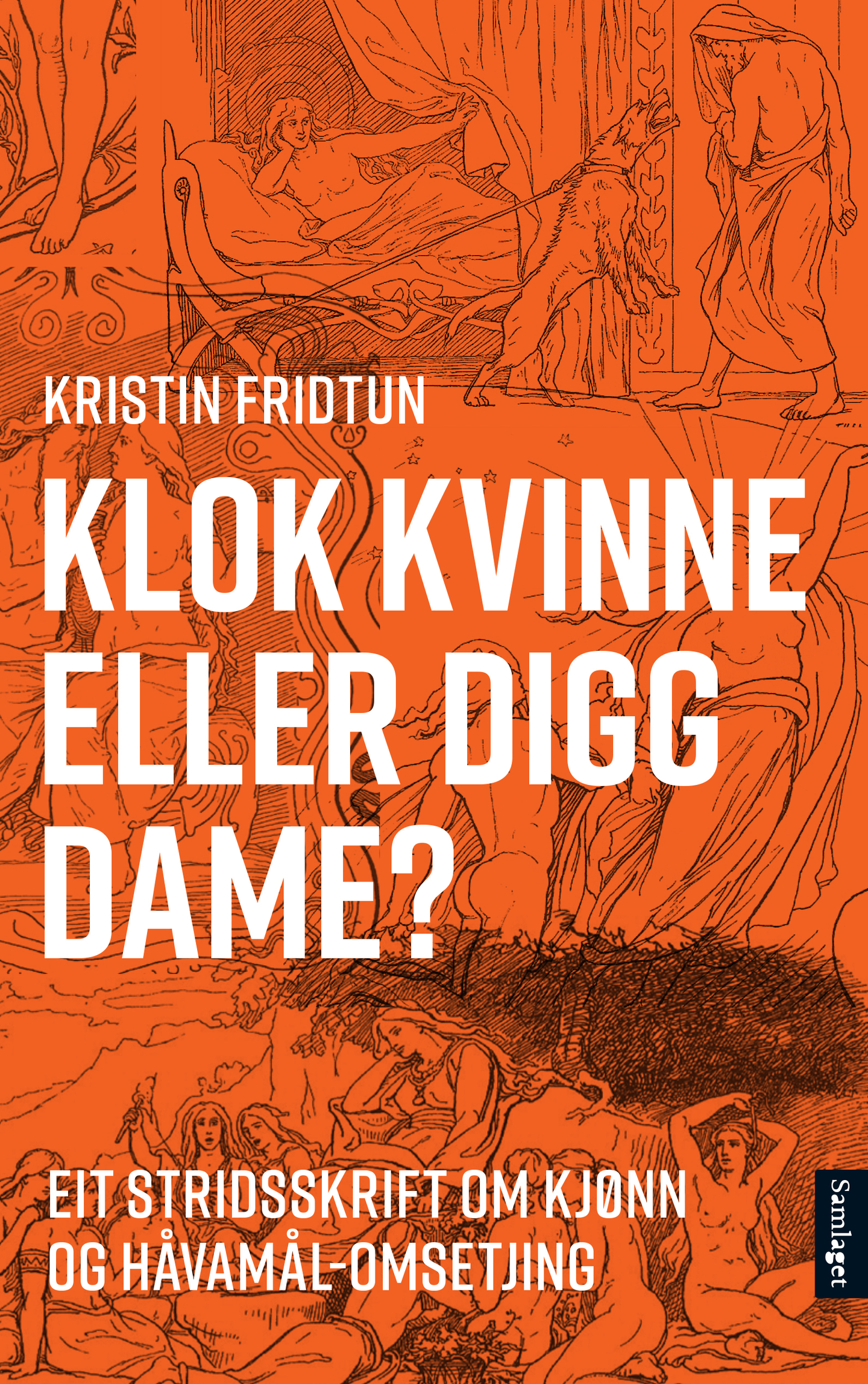 Klok kvinne eller digg dame? - eit stridsskrift om kjønn og Håvamål-omsetjing book cover