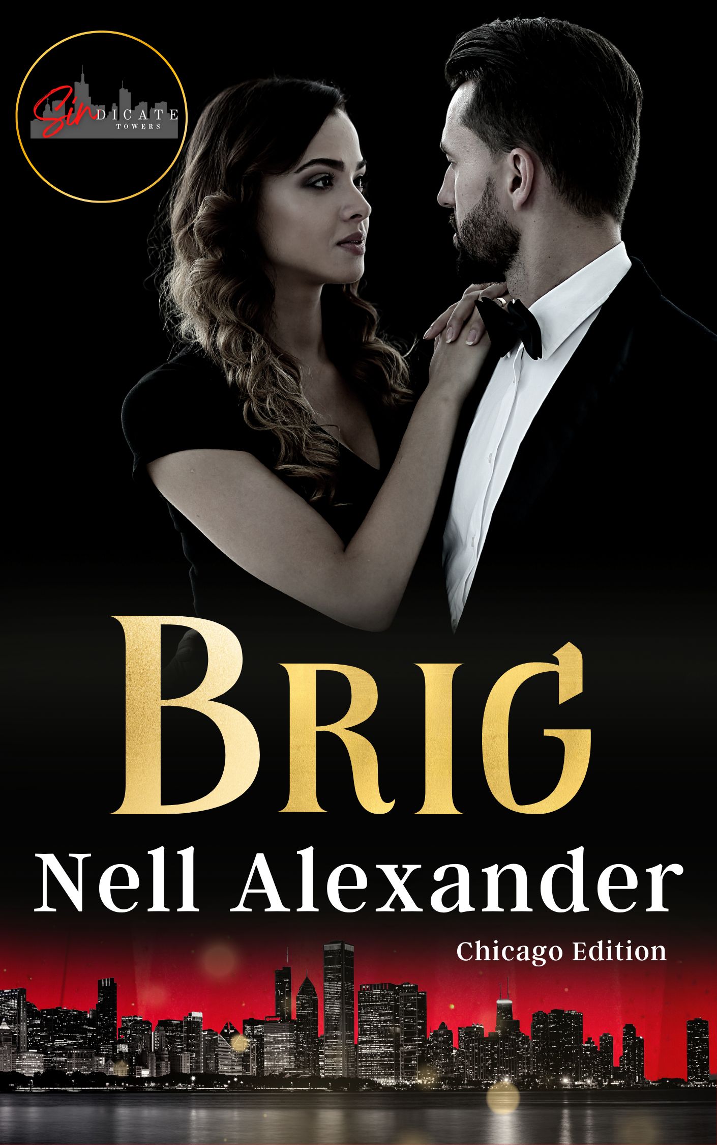 Brig book cover