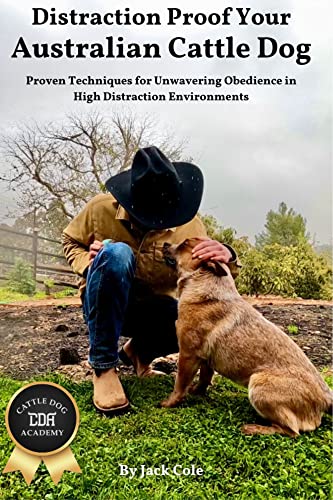 Distraction Proof Your Australian Cattle Dog: Proven Techniques for ...