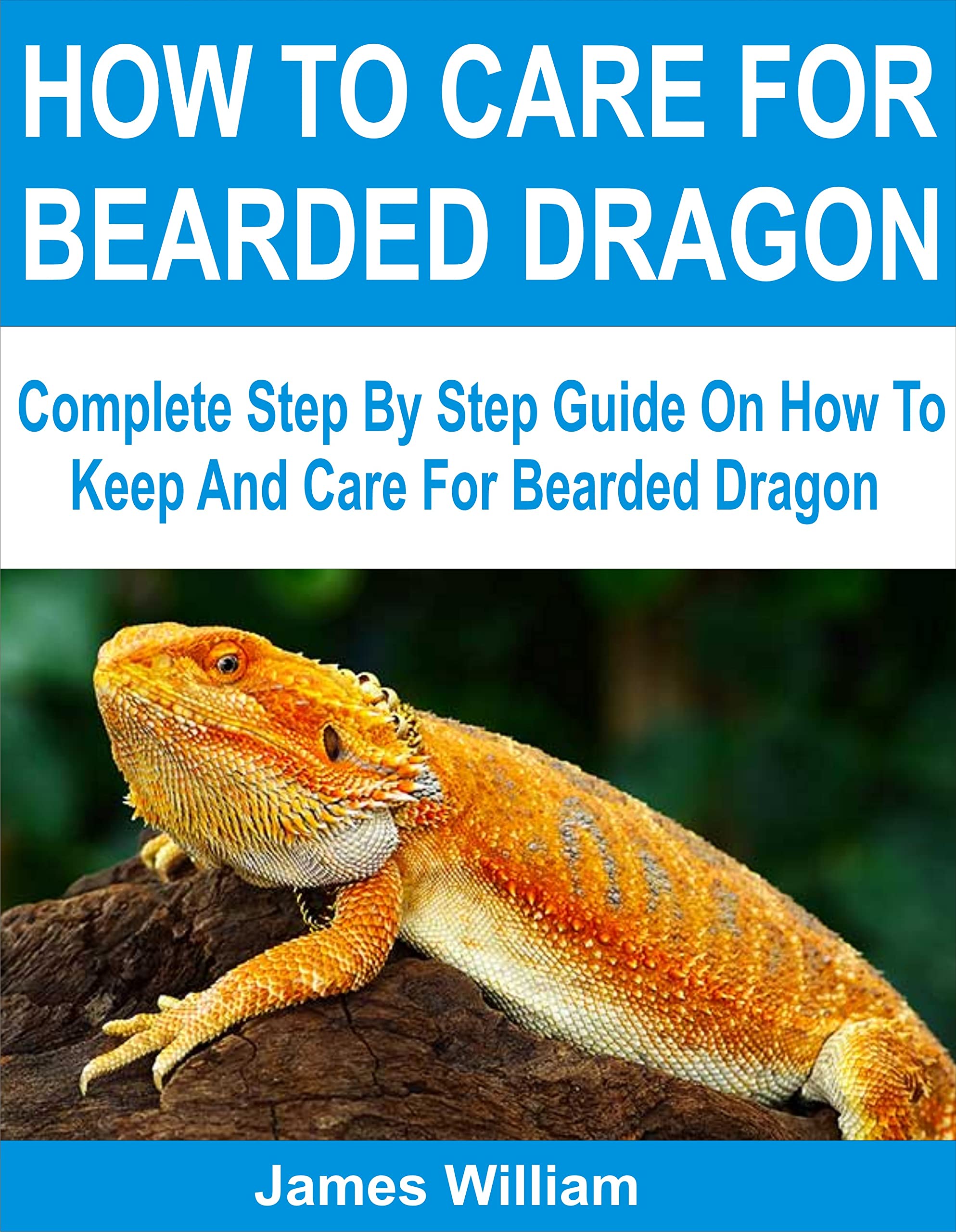 HOW TO CARE FOR BEARDED DRAGON Complete Step By Step Guide On How To