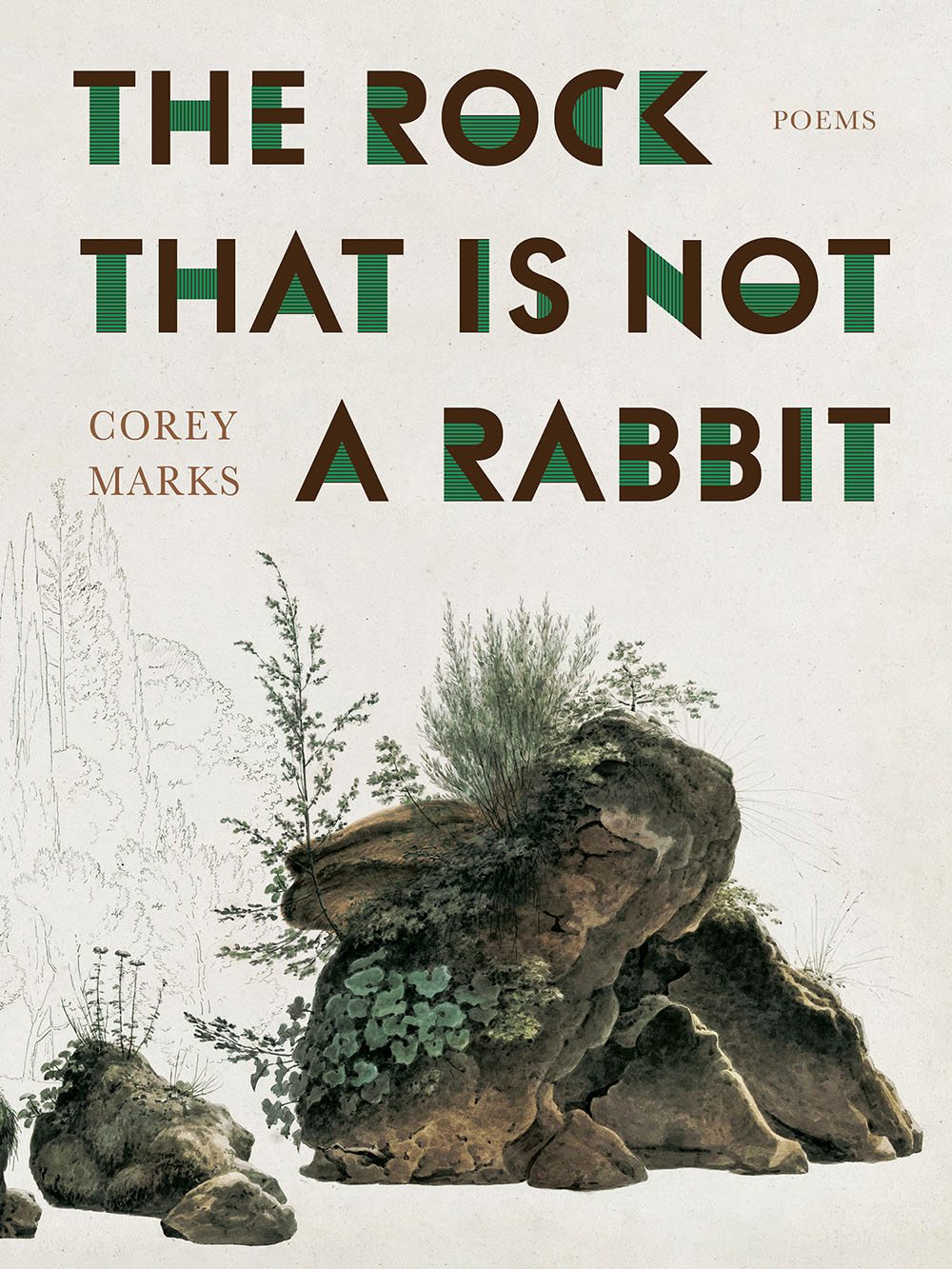 Rock That Is Not a Rabbit, The: Poems
