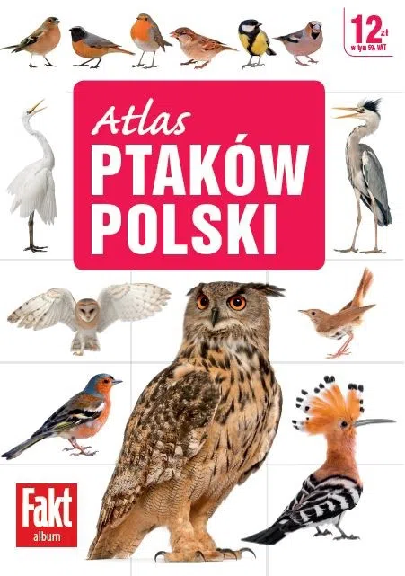 ATLAS PTAK W POLSKICH visual data 4