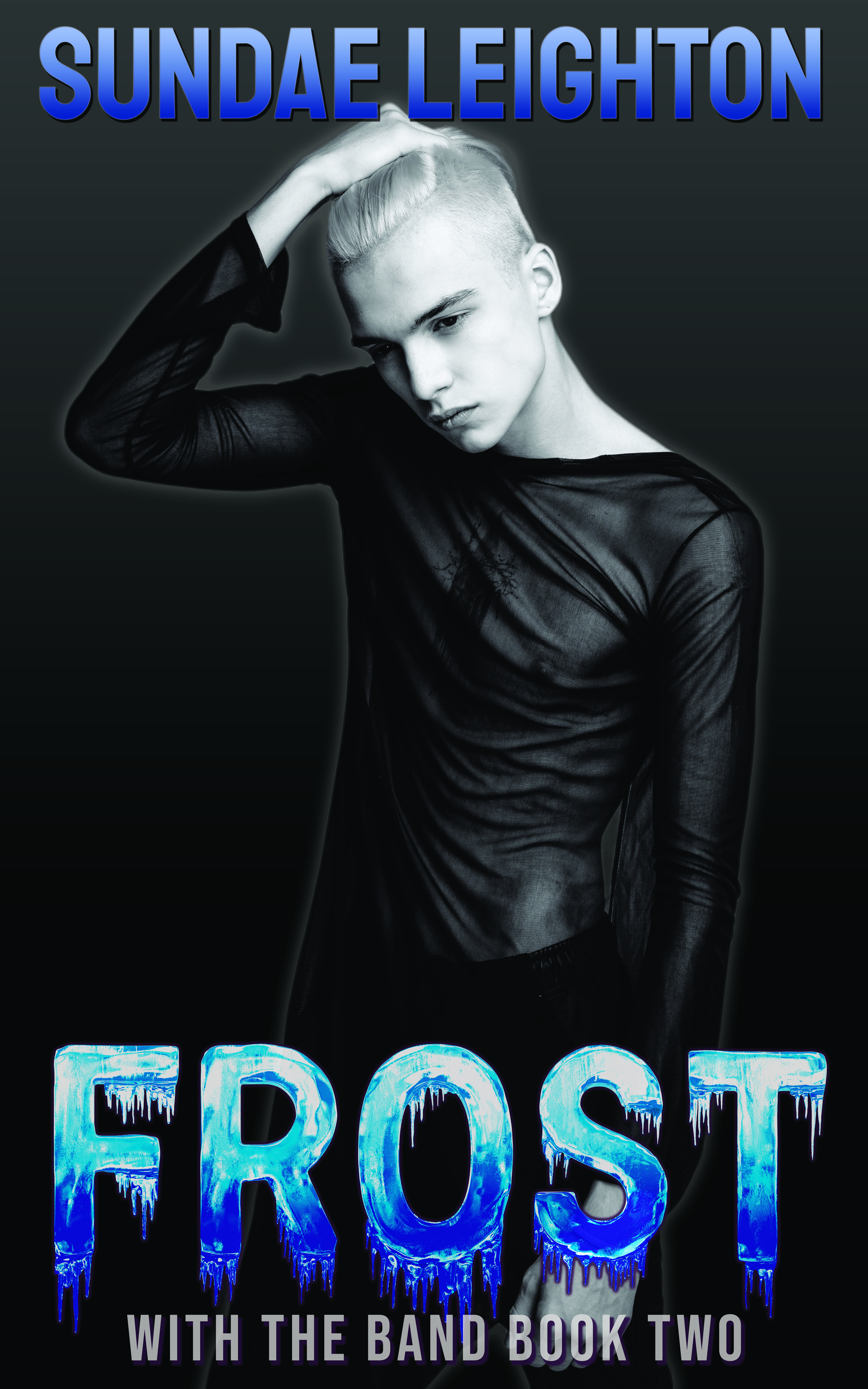 Frost book cover