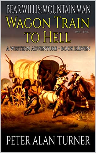 Bear Willis book cover