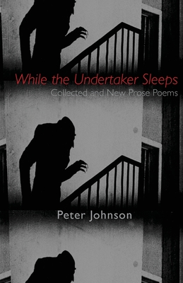 While the Undertaker Sleeps book cover