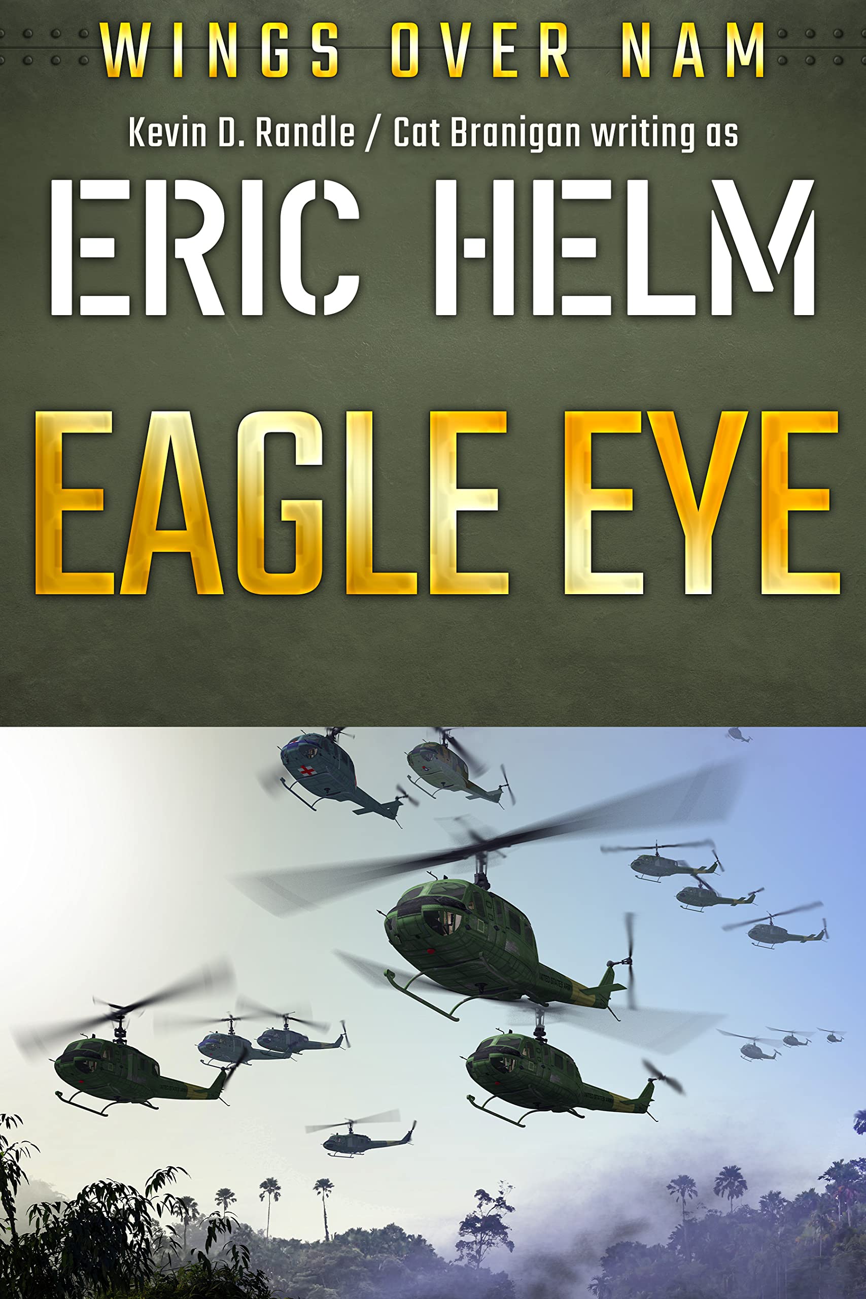Eagle Eye: A Wings Over Nam aviation thriller