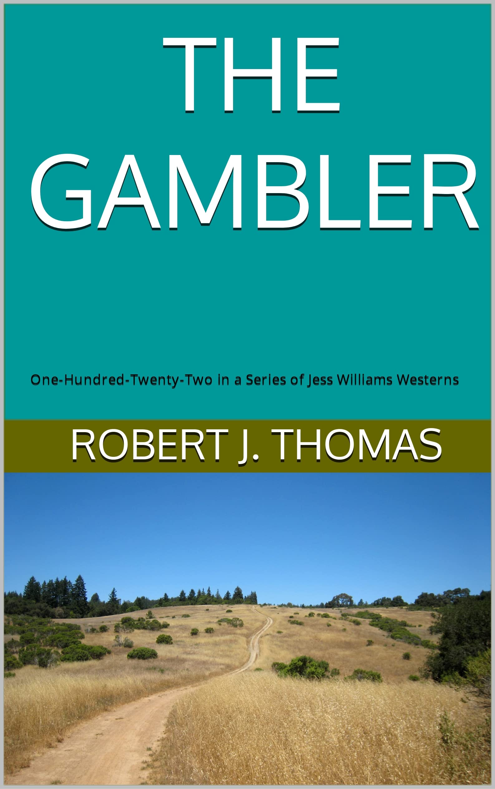 THE GAMBLER book cover