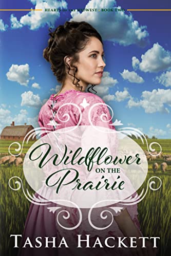 Wildflower on the Prairie